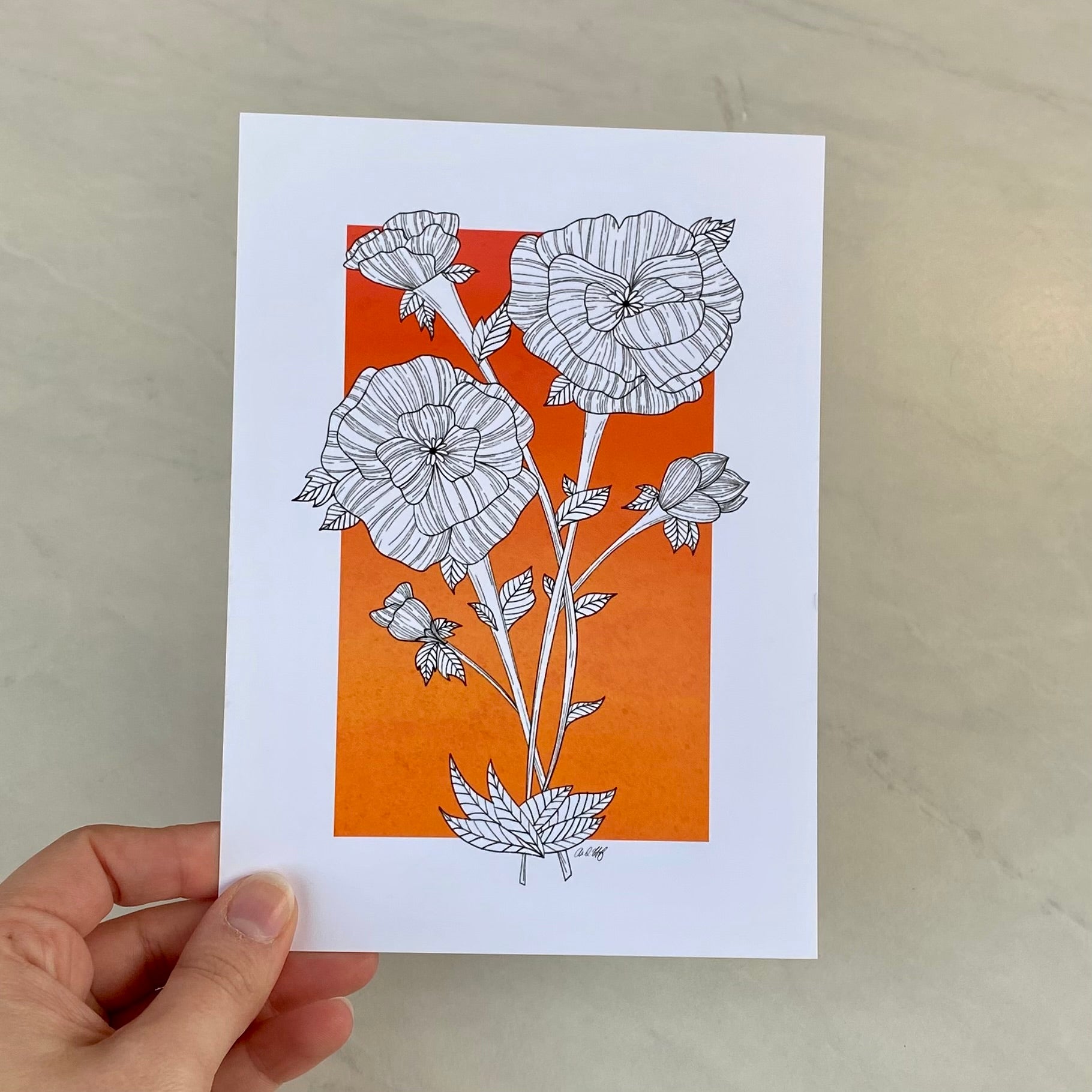 Sunset Poppies Art Print